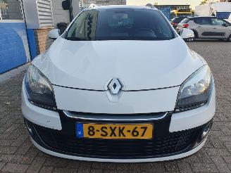 Renault Mégane Estate 1.5 dCi Collection Schadevrij picture 8