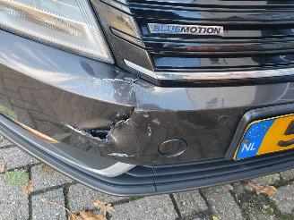 Volkswagen Passat 1.6 TDI BlueMotion Executive Edition picture 10