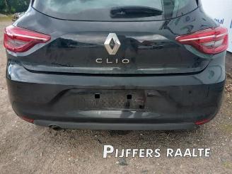 Renault Clio Clio V (RJAB), Hatchback 5-drs, 2019 1.0 SCe 65 12V picture 17