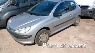 demontáž osobní automobily Peugeot 206 206 (2A/C/H/J/S), Hatchback, 1998 / 2012 1.1 XN,XR 2001/1