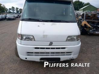 Fiat Ducato Ducato (230/231/232/234), Ch.Cab/Pick-up, 1994 / 2002 2.8 id TD picture 3