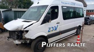 Mercedes Sprinter Sprinter 3,5t (906.73), Bus, 2006 / 2020 316 NGT picture 1