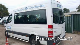 Mercedes Sprinter Sprinter 3,5t (906.73), Bus, 2006 / 2020 316 NGT picture 11