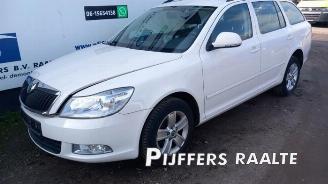 Skoda Octavia Octavia Combi (1Z5), Combi 5-drs, 2004 / 2013 1.8 TSI 16V picture 2