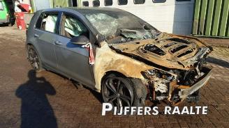 Volkswagen Golf Golf VII (AUA), Hatchback, 2012 / 2021 2.0 GTI TCR 16V picture 5
