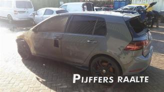 Volkswagen Golf Golf VII (AUA), Hatchback, 2012 / 2021 2.0 GTI TCR 16V picture 3