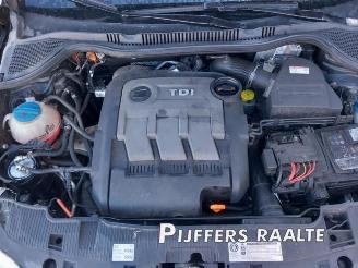 Seat Ibiza Ibiza ST (6J8), Combi, 2010 / 2016 1.2 TDI Ecomotive picture 17