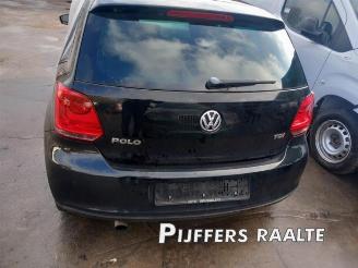 Volkswagen Polo Polo V (6R), Hatchback, 2009 / 2017 1.6 TDI 16V 105 picture 7