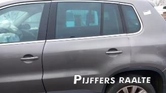 Volkswagen Tiguan Tiguan (5N1/2), SUV, 2007 / 2018 2.0 TSI 16V 4Motion picture 10