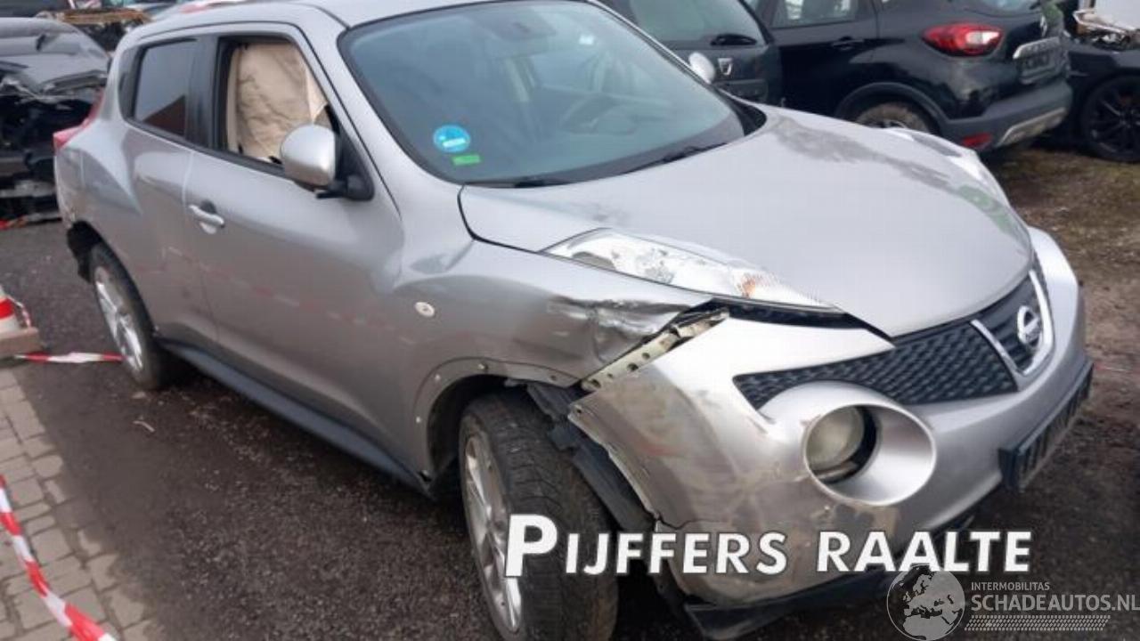 Nissan Juke Juke (F15), SUV, 2010 / 2019 1.6 16V