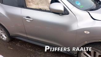 Nissan Juke Juke (F15), SUV, 2010 / 2019 1.6 16V picture 17