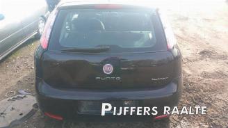 Fiat Punto Punto III (199), Hatchback, 2012 0.9 TwinAir picture 3