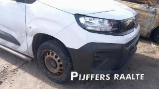 Opel Combo Combo Cargo, Van, 2018 1.5 CDTI 100 picture 5