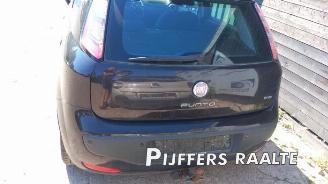 Fiat Punto Punto Evo (199), Hatchback, 2008 / 2012 1.4 picture 6