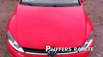 Volkswagen Golf Golf VII Variant (AUVV), Combi, 2013 / 2021 1.2 TSI 16V picture 5