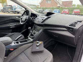 Ford Kuga 1.5  Trend picture 13