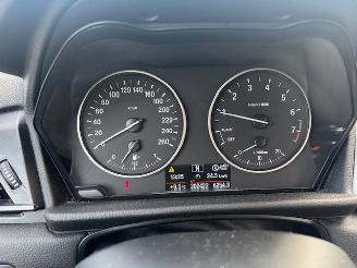 BMW 2-serie 218i Centennial Executive picture 14