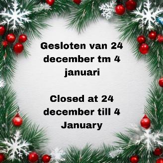 Schadeauto Audi A1  2026/1