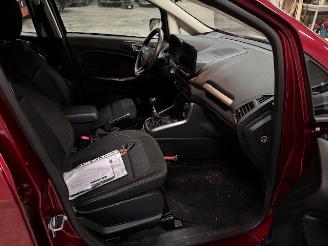 Ford EcoSport 1.0 EcoBoost Ultimate (km 54.810 NAP ) picture 10