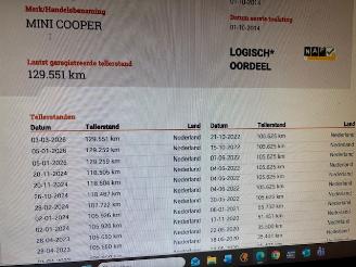 Mini Cooper 1.5 Cooper First Born Edition Nap picture 12