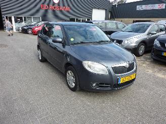 škoda osobní automobily Skoda Fabia 1.6-16V AUTOMAAT CLIMAT 2009/10