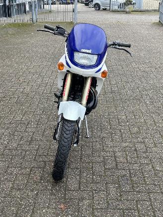 Derbi  Senda 6V 50 picture 7