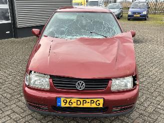 Volkswagen Polo 1.6 picture 8