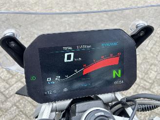 BMW  R 1250 R HP picture 19