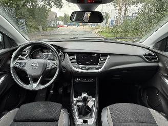 Opel Grandland X picture 8