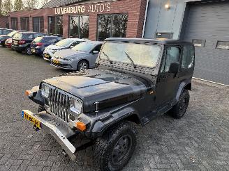 Jeep Wrangler 2.5i Hardtop (Terreinwagen 2-dr.) picture 16