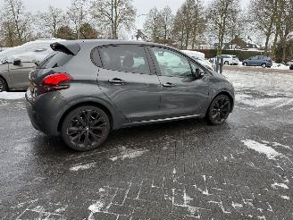 Peugeot 208 1.6 BlueHDi Blue Lease (Hatchback 5-dr.) picture 34