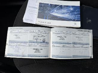 Peugeot 208 1.6 BlueHDi Blue Lease (Hatchback 5-dr.) picture 17