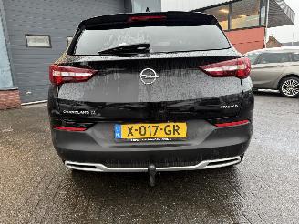 Opel Grandland X - 1.6 Turbo Hybrid Business Edition picture 3