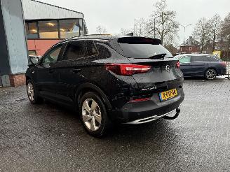 Opel Grandland X - 1.6 Turbo Hybrid Business Edition picture 14