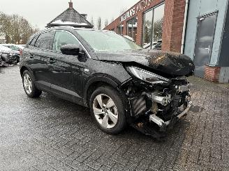 Opel Grandland X - 1.6 Turbo Hybrid Business Edition picture 5