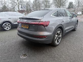 Audi E-tron 55 quattro edition 95 kWh  PANORAMADAK picture 7