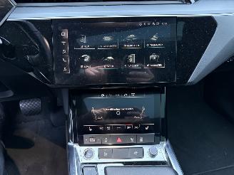 Audi E-tron 55 quattro edition 95 kWh  PANORAMADAK picture 15