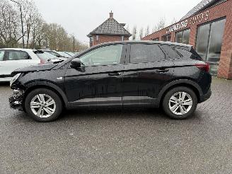 Opel Grandland 1.2 Turbo Online Edition (SUV 5-dr.) picture 15