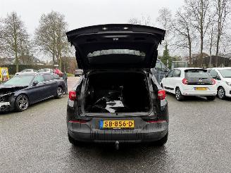 Opel Grandland 1.2 Turbo Online Edition (SUV 5-dr.) picture 18