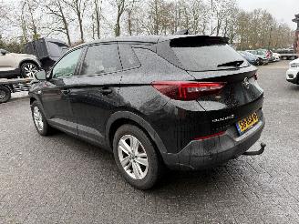 Opel Grandland 1.2 Turbo Online Edition (SUV 5-dr.) picture 9