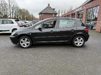 Peugeot 307 1.6-16V Griffe   LEER (Hatchback 5-dr.) picture 3