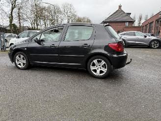 Peugeot 307 1.6-16V Griffe   LEER (Hatchback 5-dr.) picture 29