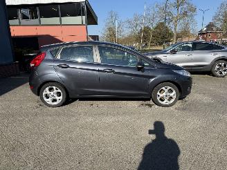Ford Fiesta 1.25 Titanium (Hatchback 5-dr.) picture 5