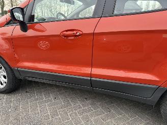 Ford EcoSport 1.0 EcoBoost Titanium (SUV 5-dr.) picture 14