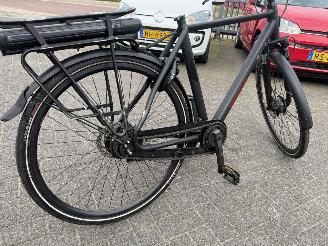 Stella  VINCENZA picture 14