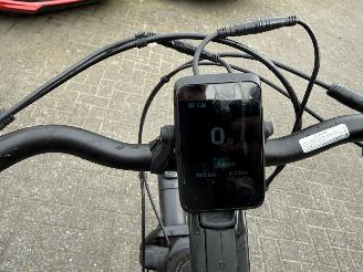 Stella  VINCENZA picture 11