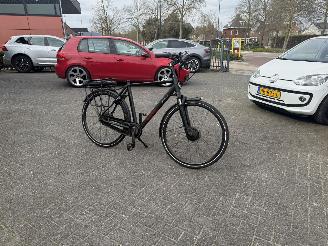 Stella  VINCENZA picture 8