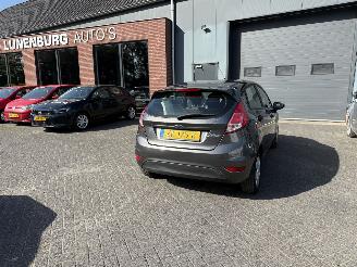škoda osobní automobily Ford Fiesta 1.25 (Hatchback 5-dr.) 2017/5