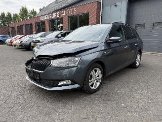 Avarii autoturisme Skoda Fabia 1.0 TSI Style PANORAMADAK  (Stationwagen 5-dr.) 2020/10