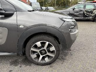 Citroën C4 cactus 1.2 PureTech One-Tone (SUV 5-dr.) picture 22